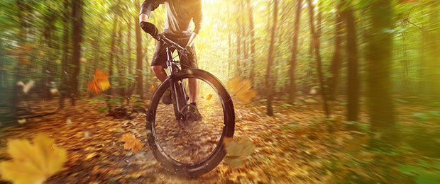 VTT électrique